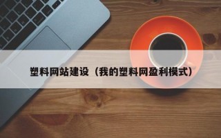 甘孜塑料网站建设（我的塑料网盈利模式）
